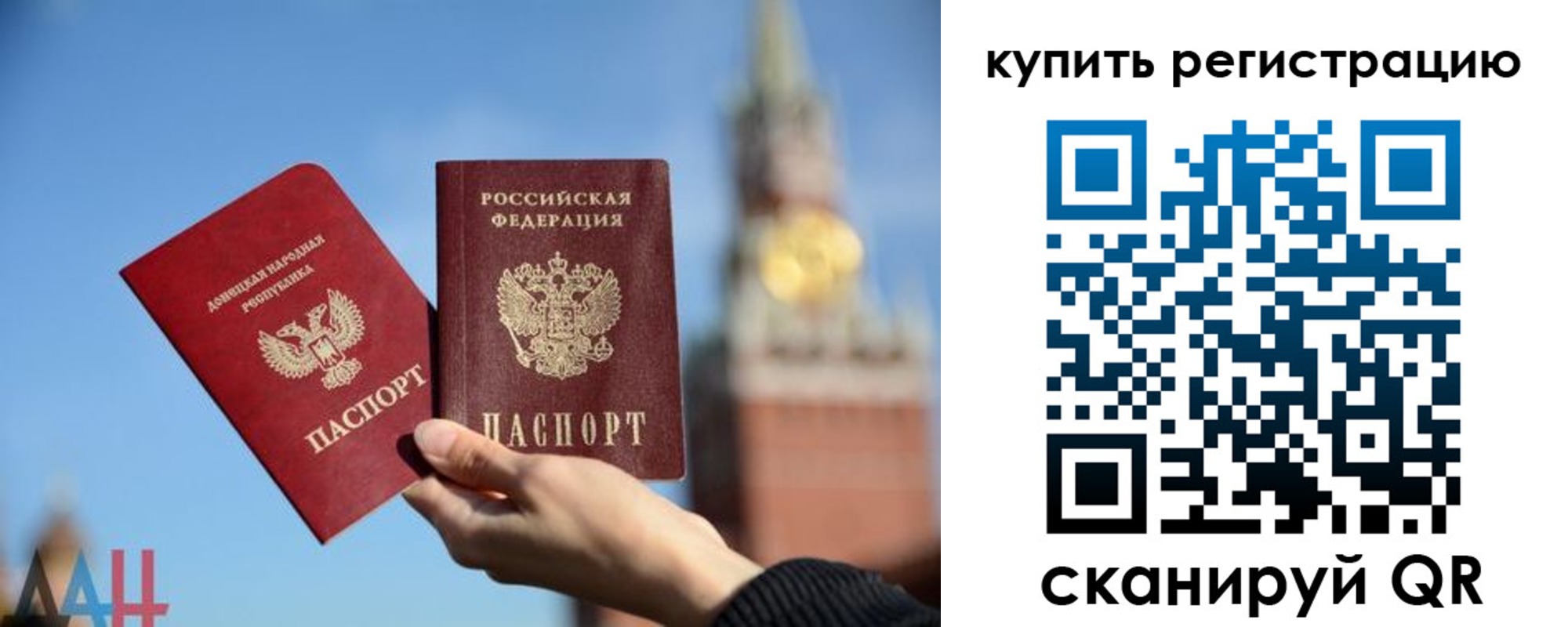 прописка для школы в Курске
